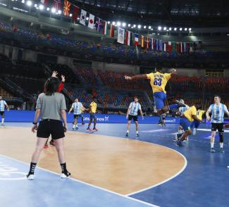 joueurs handball championnat monde
