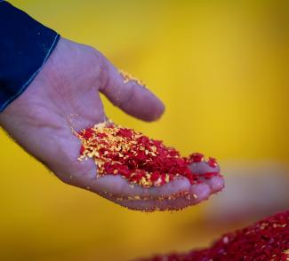 gerflor-header-recyclage