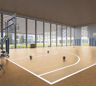 sport