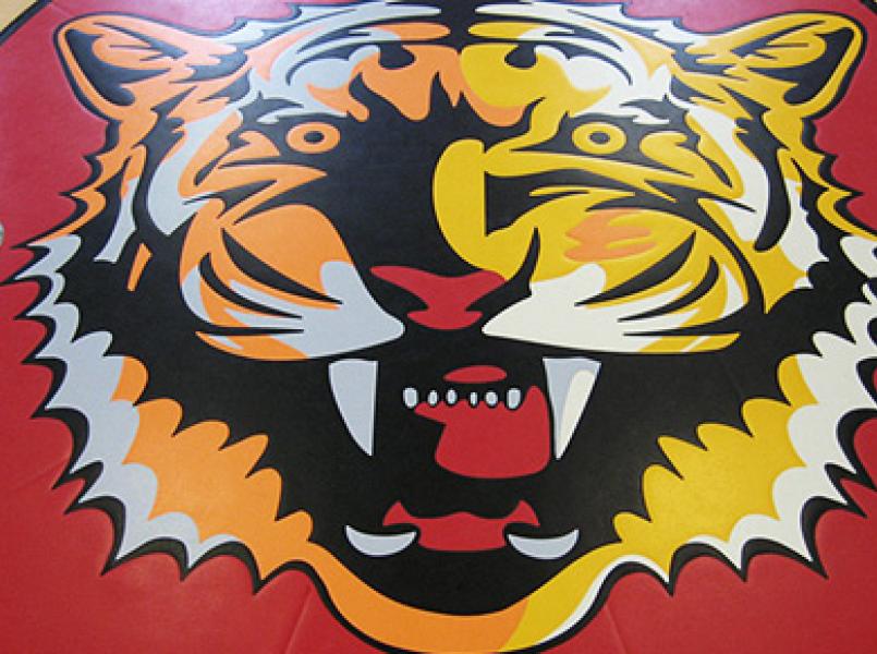 gerflor-image-my-floor-logo-sport.