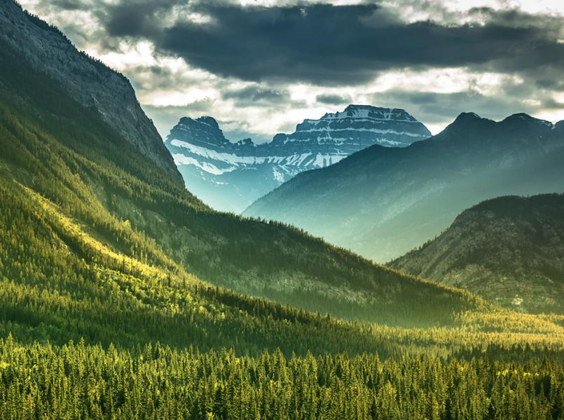 gerflor-conception-duree-de-vie