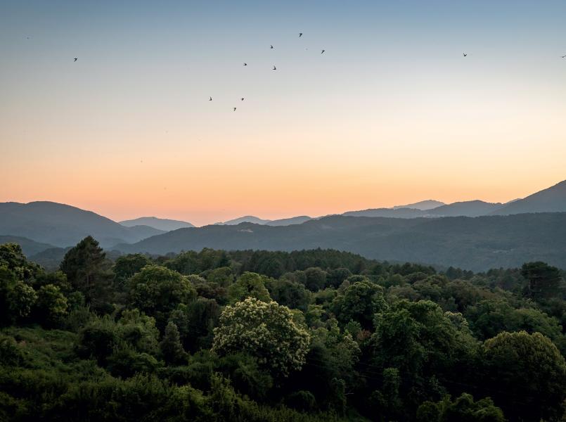 gerflor-nos-engagements3