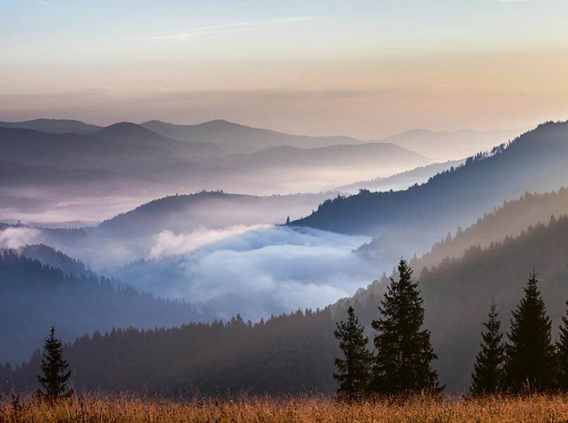 gerflor-rapport-rse-environnement