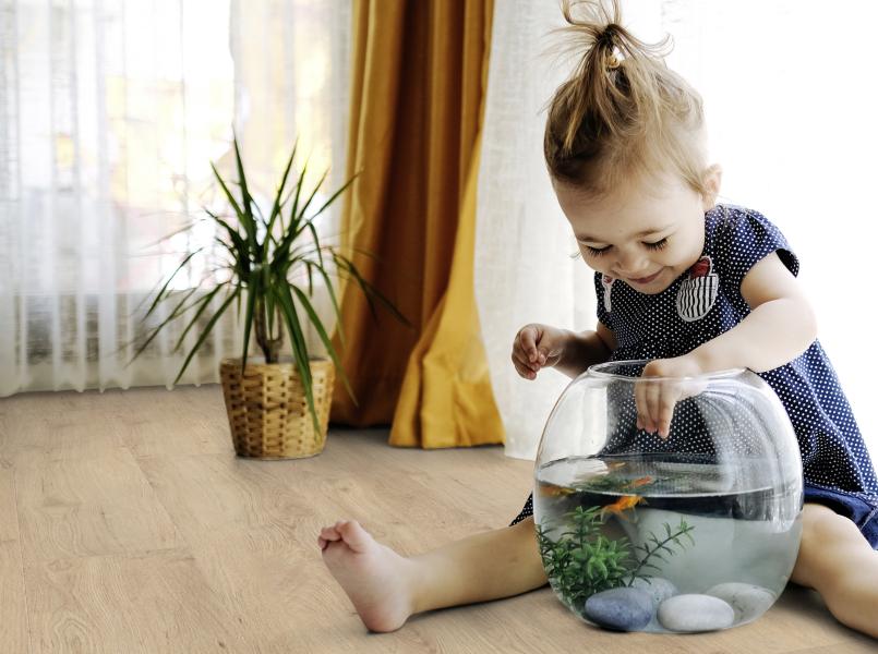 home solid clic environnement