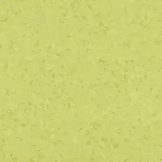 Mipolam-Biocontrol-Performance_6027_Accacia