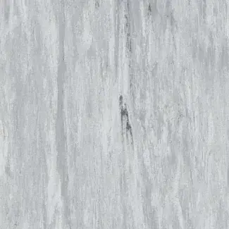 Platinum - scanmobile