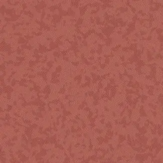 PREMIUM - 4381 OSMOZ Rozelle