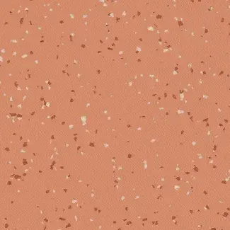 PREMIUM - 4050 INDIANA Comores