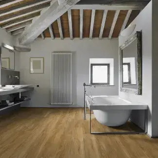 Qaja Honey - Dry Back