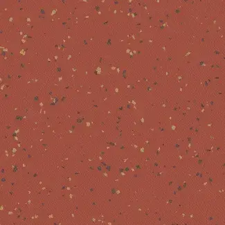 PREMIUM - 4051 INDIANA Maraca