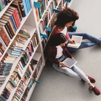 PUREWOOL GREY LIBRARY EDUCATION