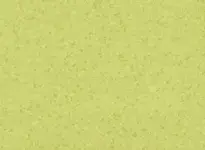 Mipolam-Biocontrol-Performance_6027_Accacia