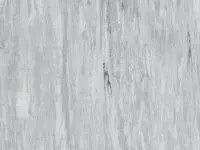 Platinum - scanmobile