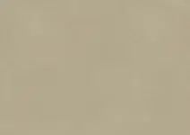 1063 Finesse Brown (Creation Zen) - Color scan