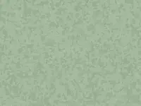 PREMIUM - 4383 OSMOZ Jasmin