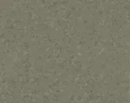 Mipolam-Biocontrol-Performance_6043_Wood