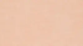 7019 Cloud Terra - Mural Calypso