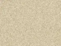 PREMIUM - 0064 METALLICA Sudri