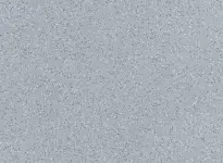 Attraction - Ceara 3709