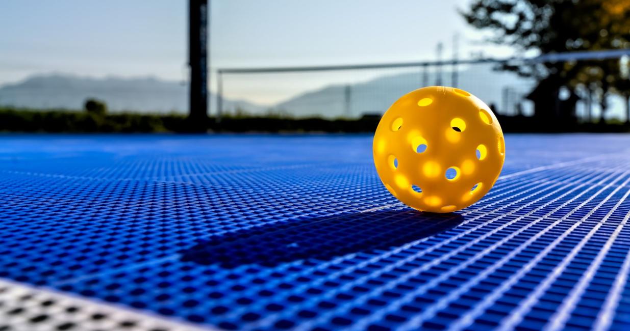 pickleball offer