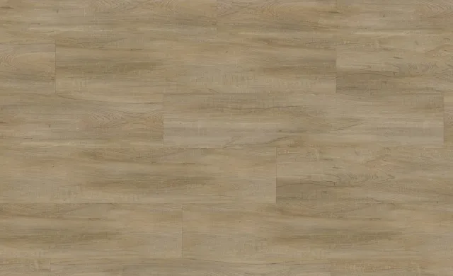 Swiss Oak Golden